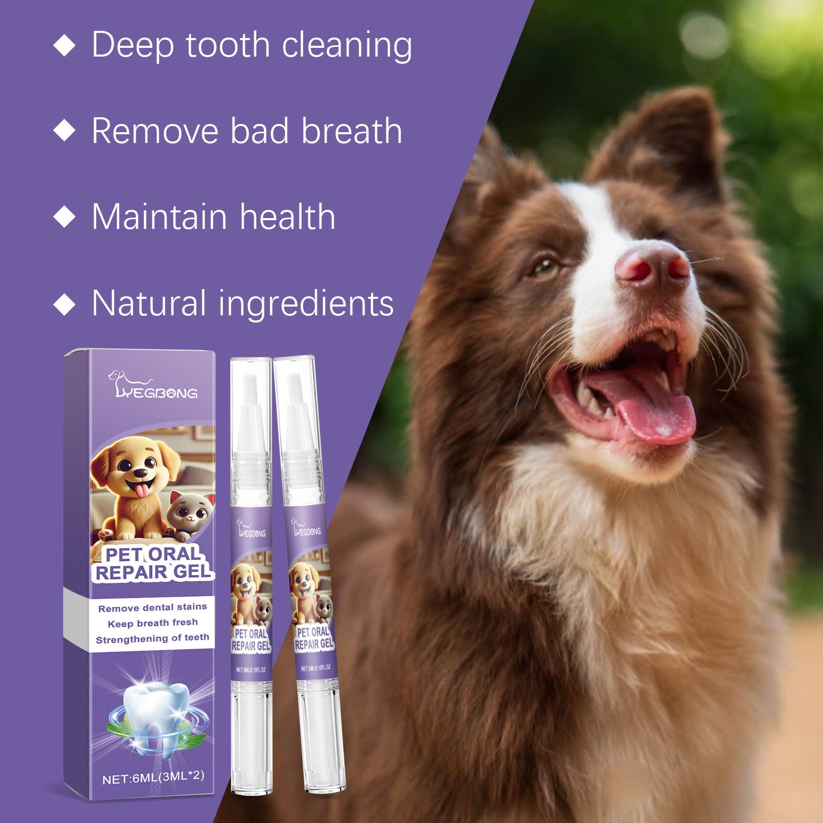 12pcs Pet Toothbrush Pen Denta - Teeth Whitening Gel Pen ulasan dan harga
